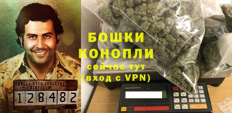 Канабис SATIVA & INDICA  Сорск 